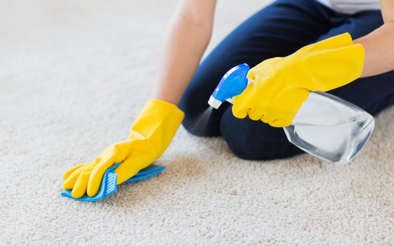 Carpet Cleaning Kenmore